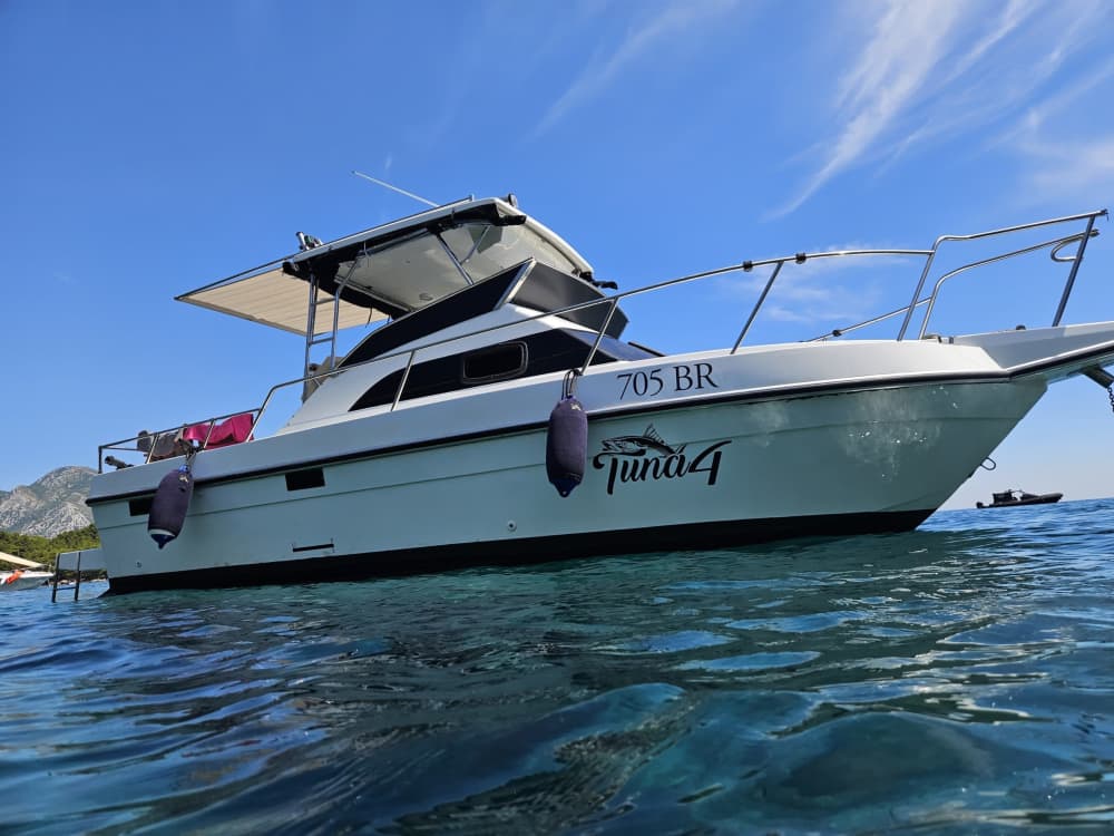 Profitez d'une demi-journée en bateau à moteur à Bar 2