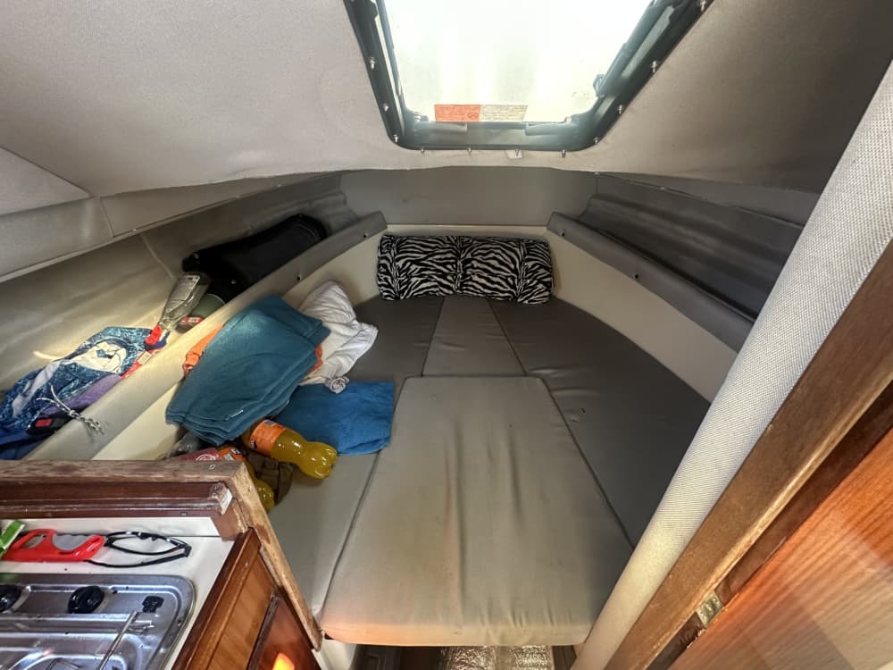 Profitez d'une demi-journée en bateau à moteur à Bar 5