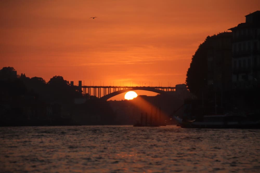 Croisière aventure (6 heures) 2