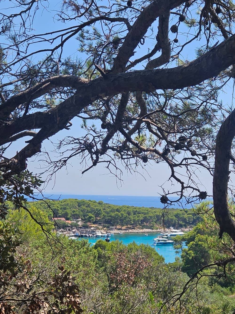 Aventure en voilier de 10 heures : ville de Vis et côte nord 6