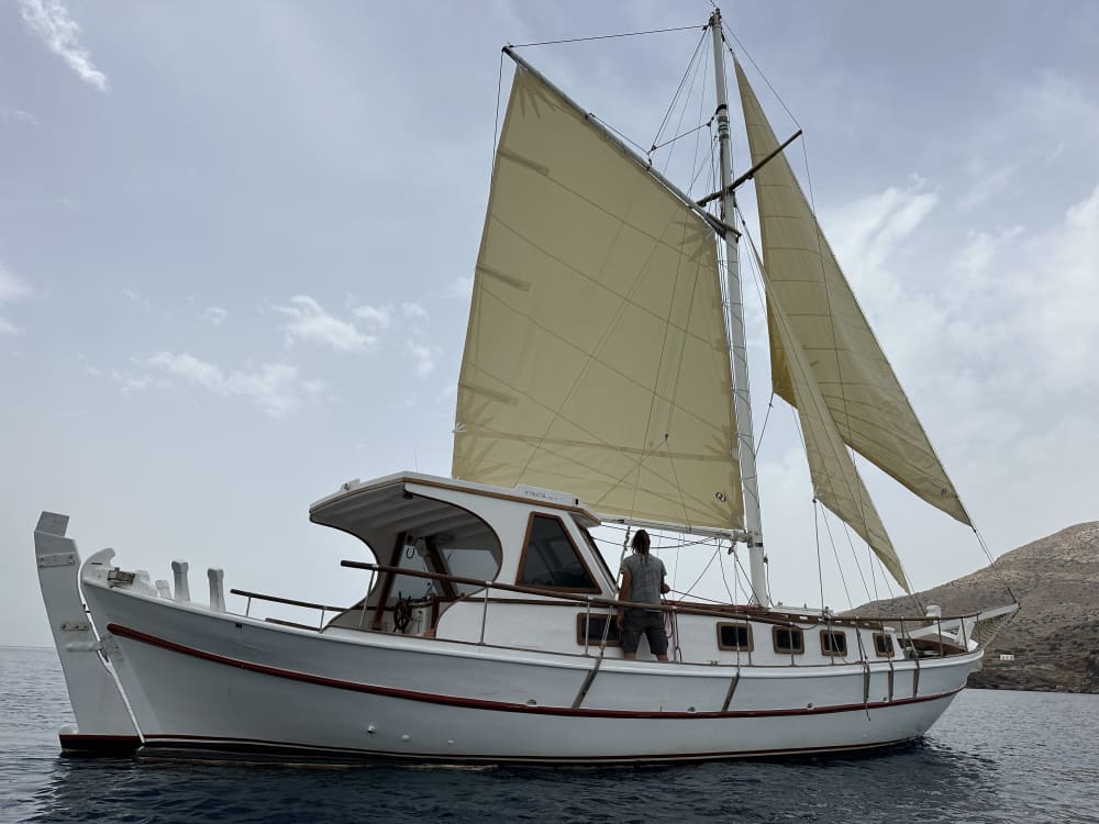Excursion de 5 heures à Santorin, en Grèce 6