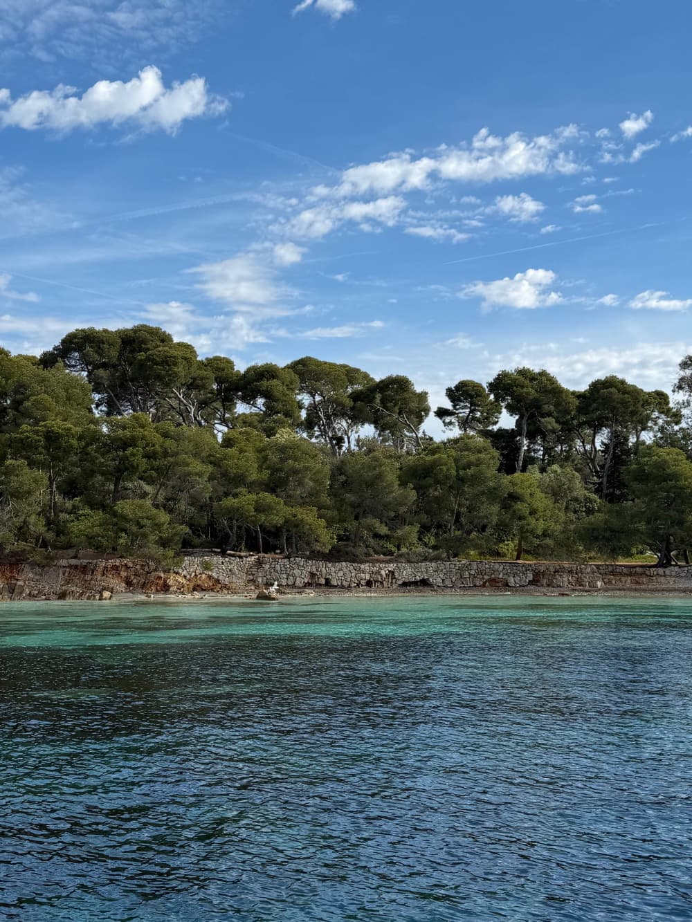 Full Day Cruise Lérins Islands, Billionaires Bay & Théoule-sur-Mer 6