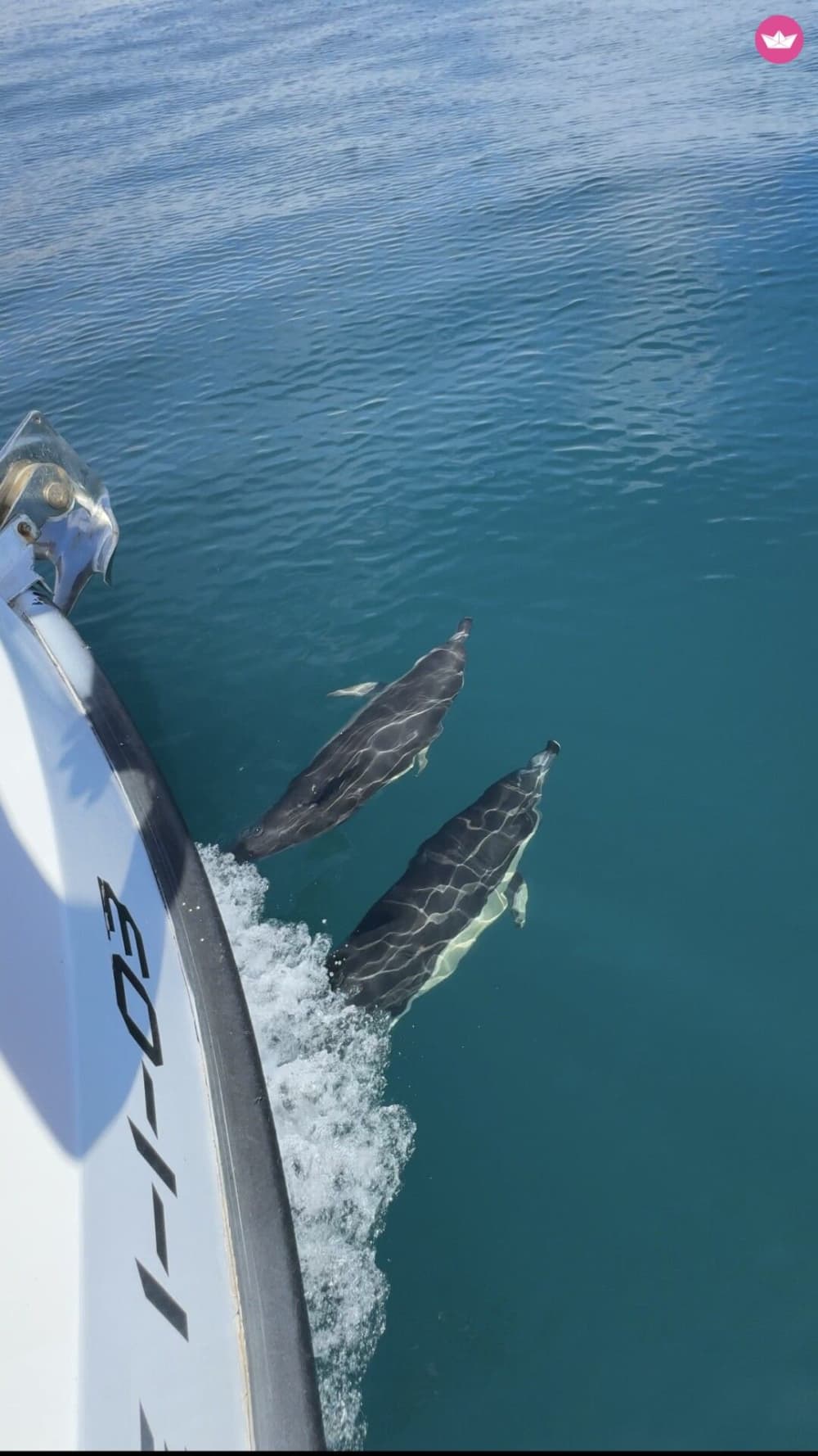 5 heures | Côte de Benalmádena: criques, dauphins et mer Méditerranée 3