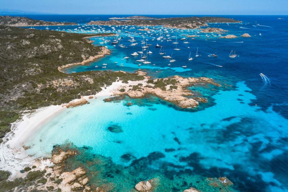 ÎLE DE TAVOLARA ET EXCURSION AVEC LES DAUPHINS 4