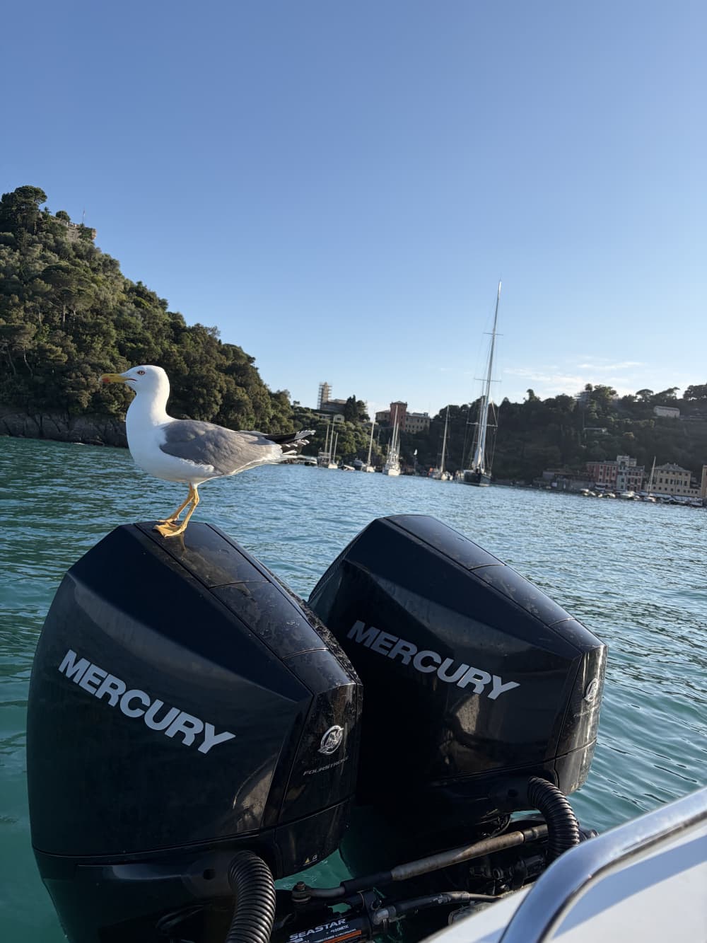 Circuit Portofino et Camogli 5