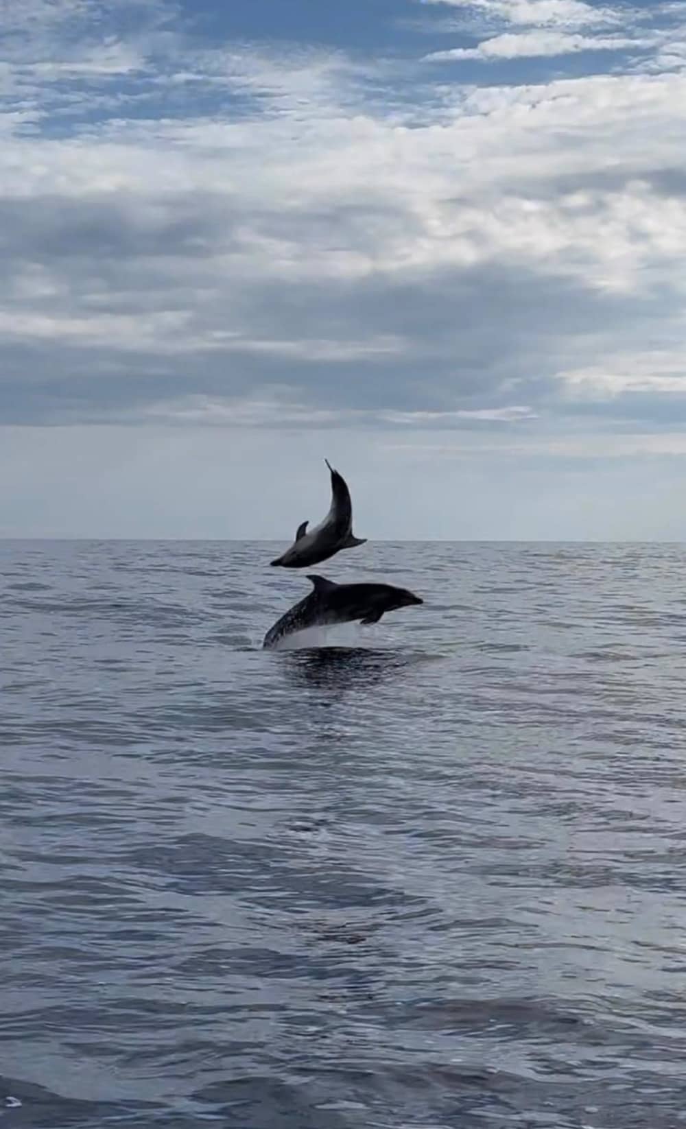 Excursion au coucher du soleil dans le golfe de Tigullio: la perle de la Ligurie orientale 6