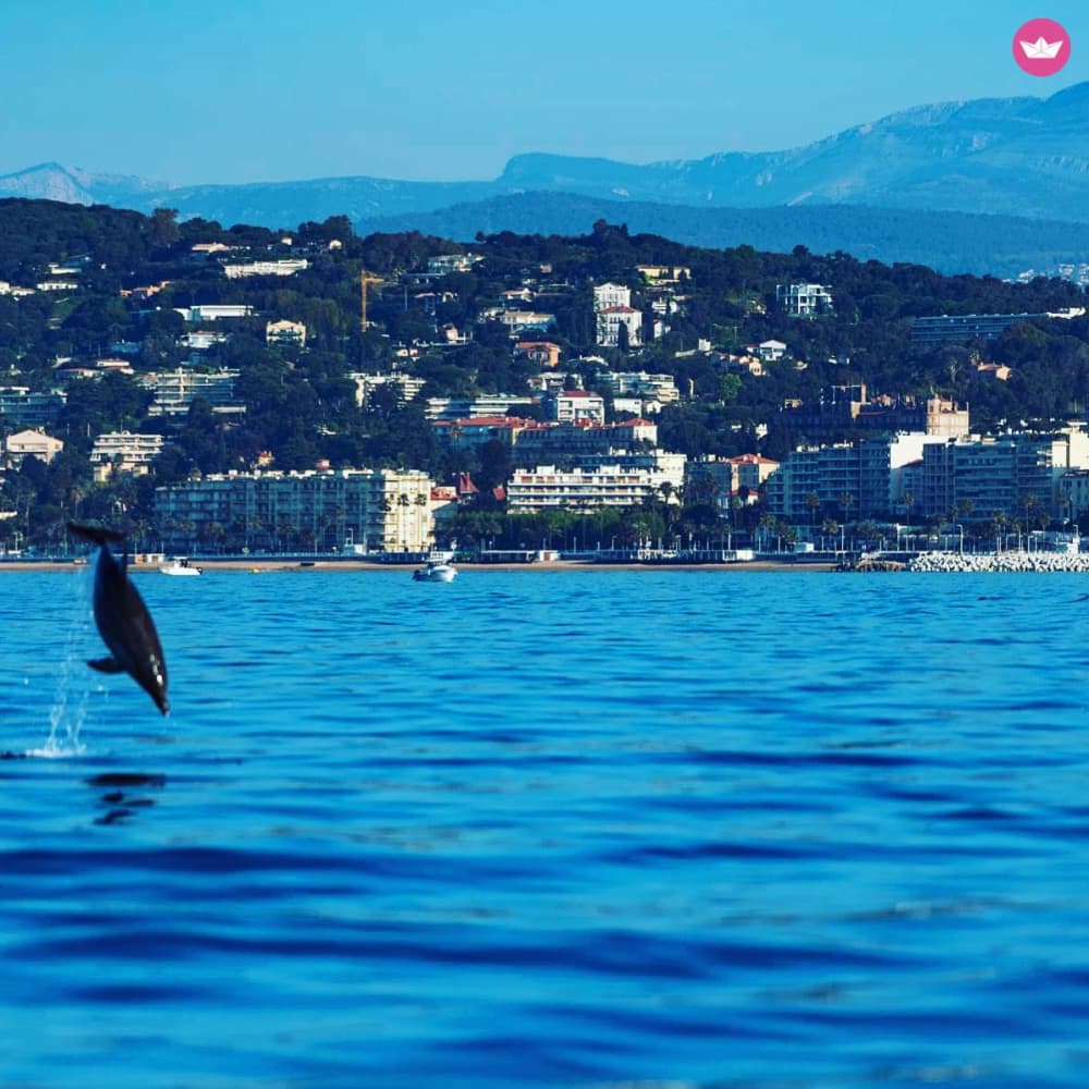 Excursion en bateau avec skipper à Cannes (Selva Marine) 6