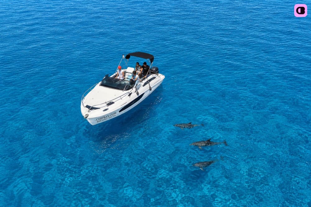 Excursion privée en bateau à Madère : falaises, baignade et découverte du littoral 3