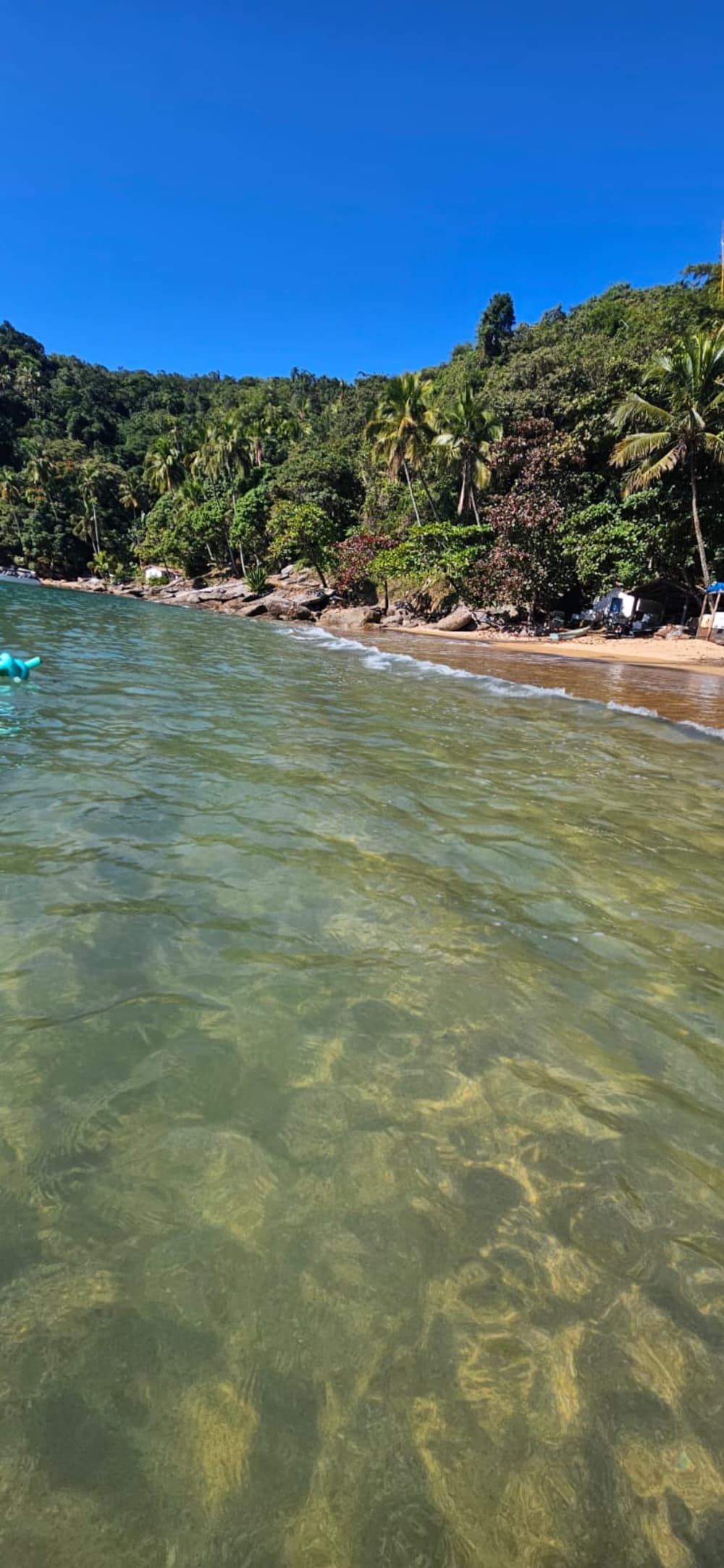Visite de 2 heures · Canal de São Sebastião / Ilhabela 6