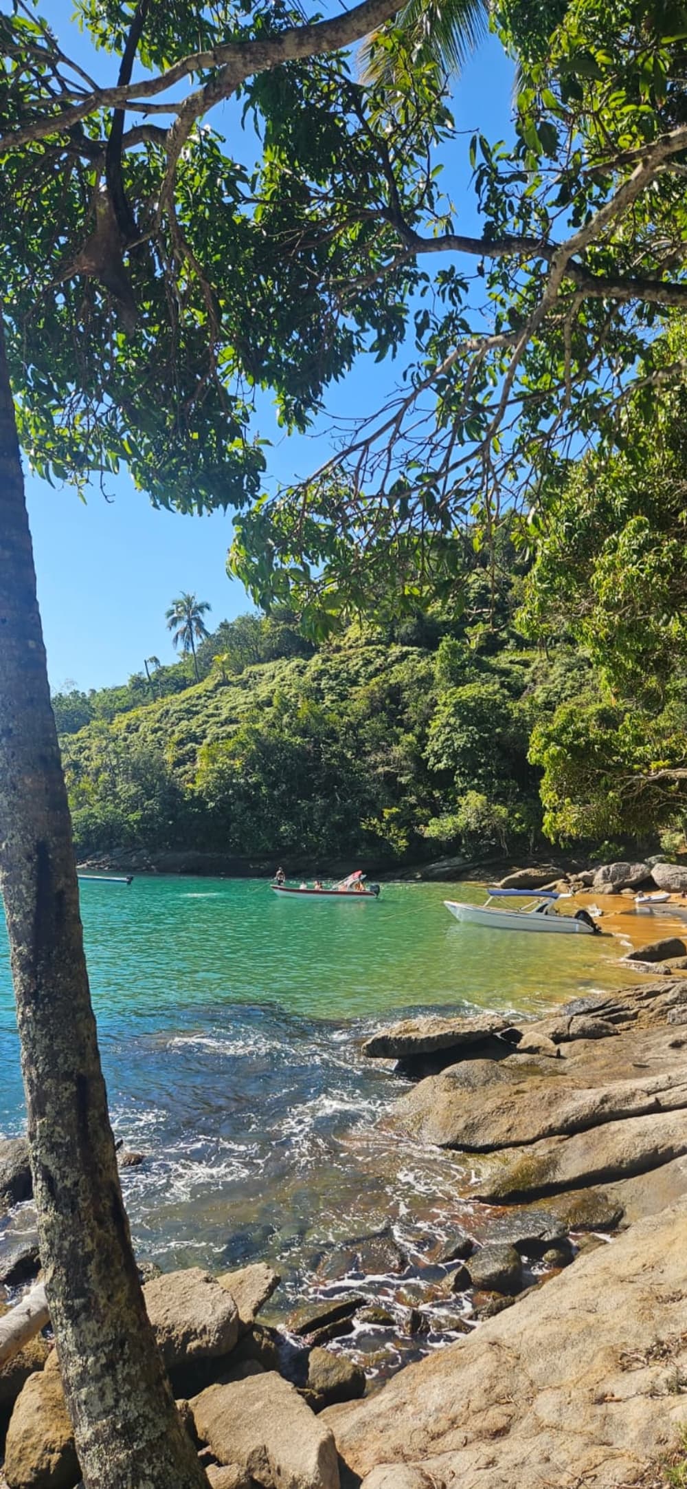 Visite de 4 heures · Ilhabela 6