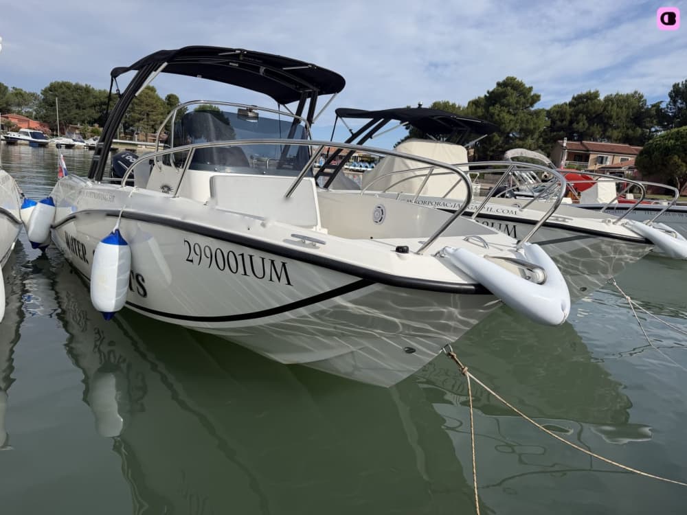 Excursion en bateau à moteur d'une demi-journée