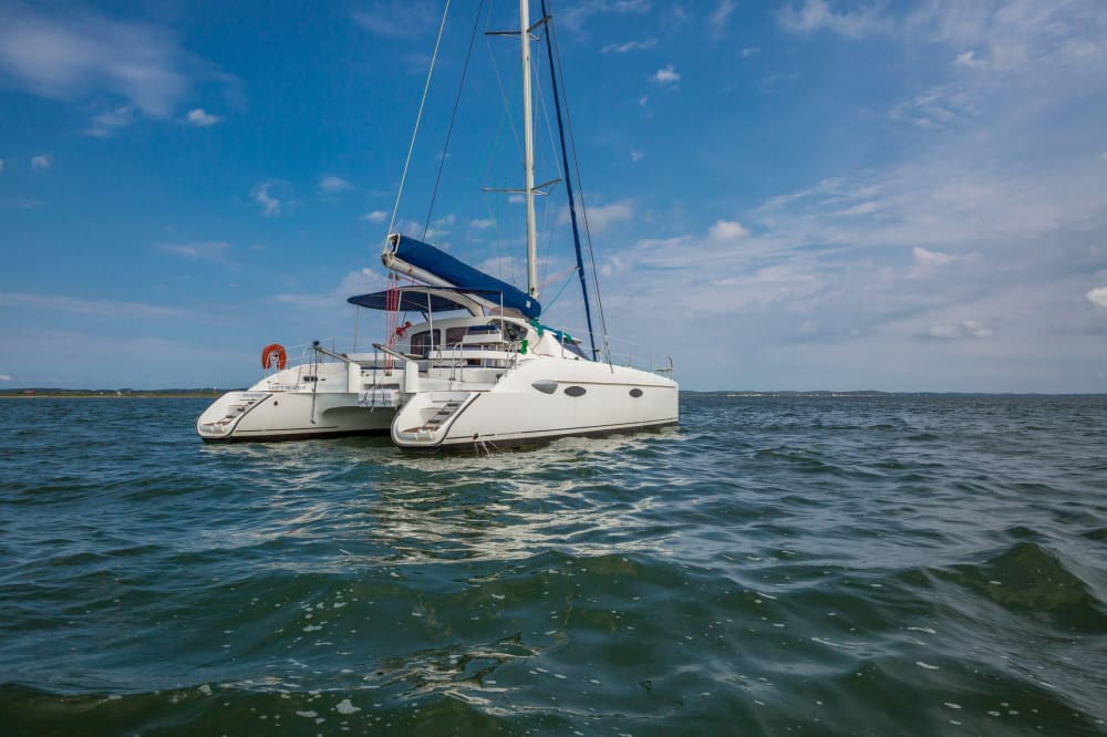 Découvrez Royan lors d'une excursion d'une journée en catamaran. 4