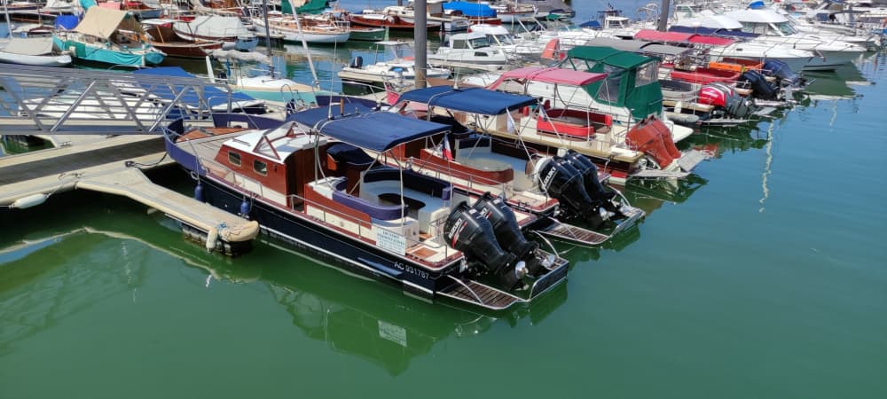 Découvrez Lège-Cap-Ferret: une demi-journée de pur plaisir en bateau à moteur 5