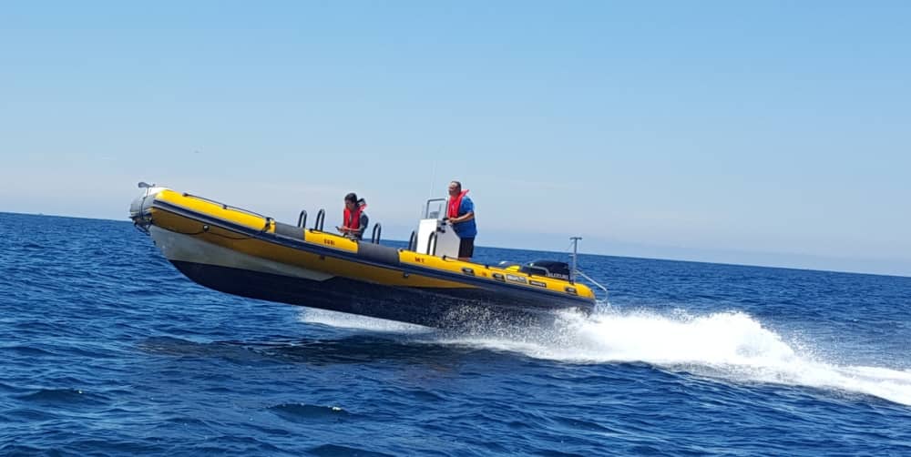 Découvrez Peniche lors d'une excursion d'une demi-journée en bateau à moteur 2