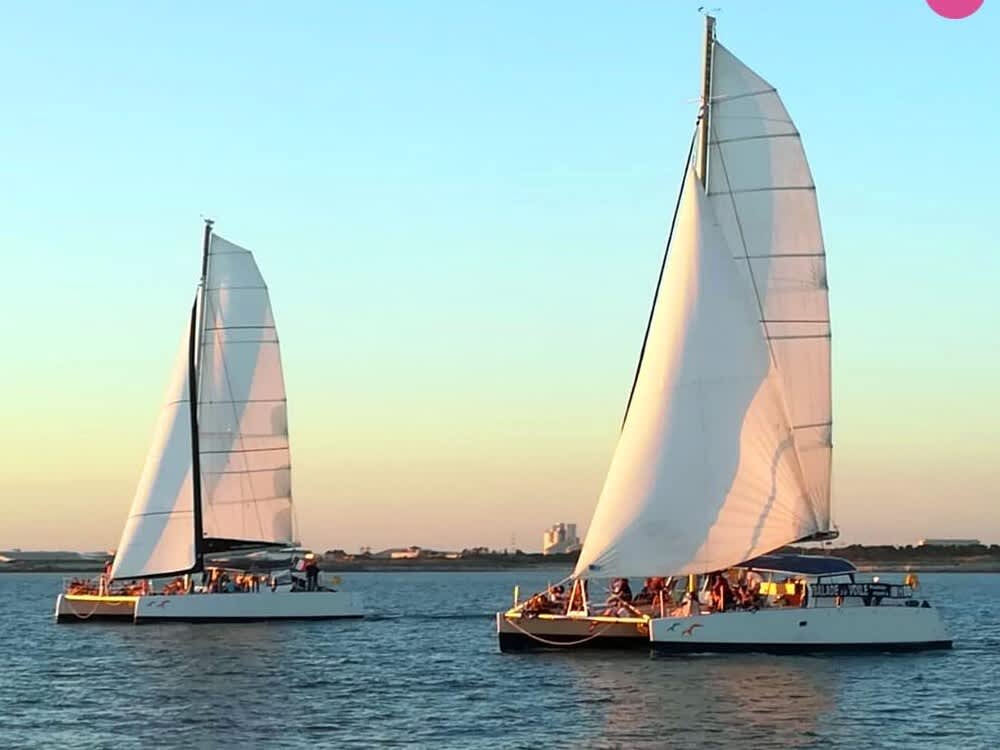 Le pur plaisir de la voile: Vivez la magie de La Rochelle 3