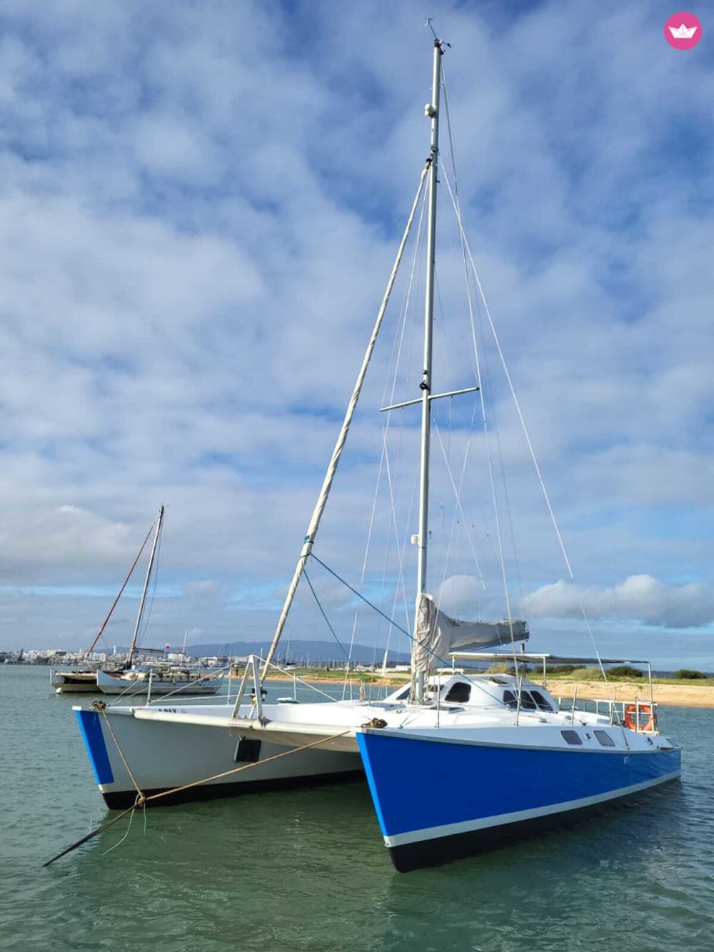 Excursion de 8 heures en catamaran le long de la côte de l'Algarve 2