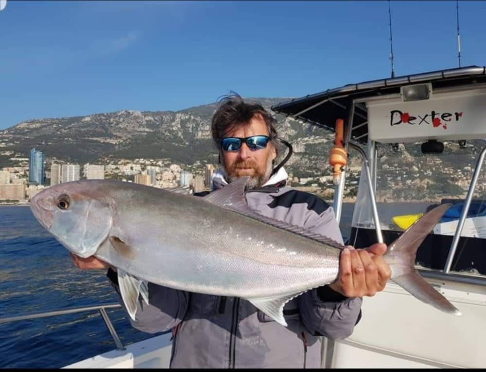 Découvrez la pêche lors d'une sortie d'une demi-journée en bateau à moteur. 4