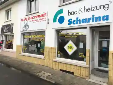 Fahrschule Kalbach - Bonameser Hainstraße Bonames 1