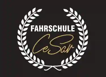 School Fahrschule Cesar Zehlendorf 1