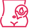 Abnormal<br/>Uterine Bleeding