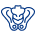 Pelvic surgery icon