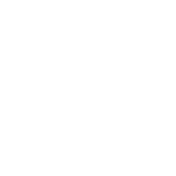 Business Partner