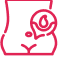 Abnormal<br/>Uterine Bleeding
