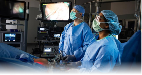 Fellowship-Trained Gynecological Endoscopic Surgeon