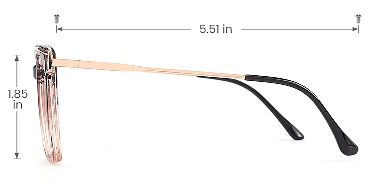 Cili black champagne   Plastic  Eyeglasses, size view