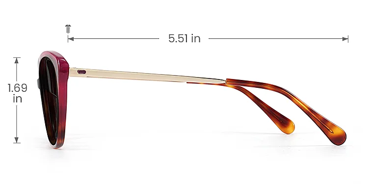 Keely warm tortoise   Acetate  Sunglasses, size view