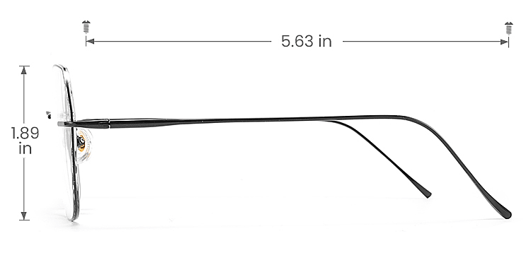 Cervine black   Titanium  Eyeglasses, size view