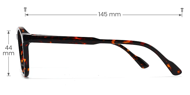 Carley warm tortoise   Acetate  Eyeglasses, size view