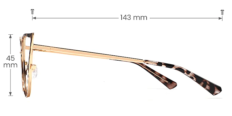 Darlene warm tortoise   Metal  Eyeglasses, size view