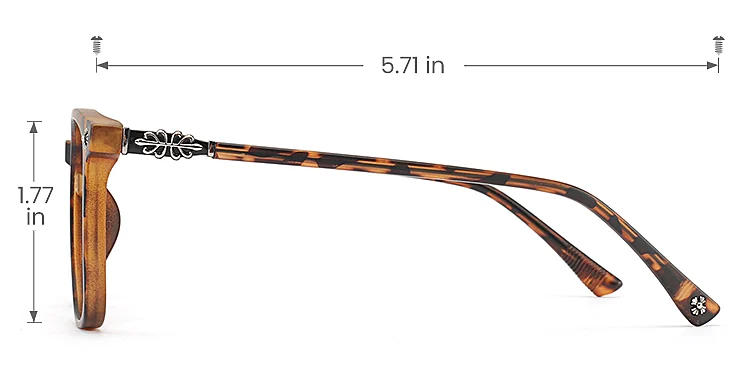 Suellen warm tortoise   Plastic  Eyeglasses, size view
