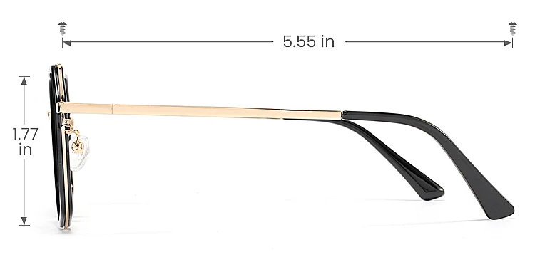 Arya black   Metal  Sunglasses, size view