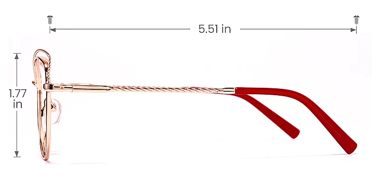 Salley red gold   Metal  Eyeglasses, size view