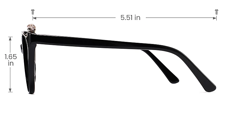 Joleen black   Acetate  Sunglasses, size view