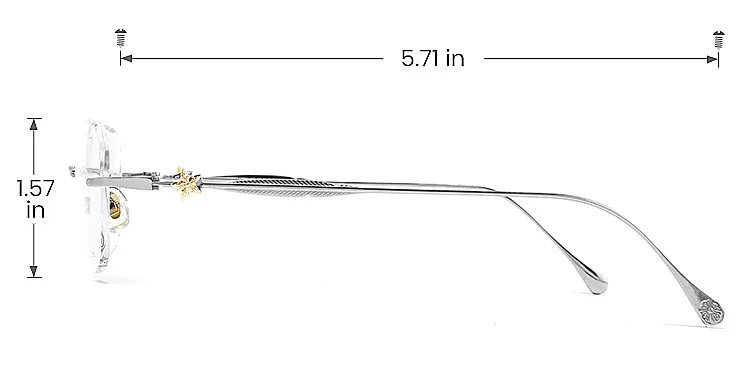William silver   Titanium  Eyeglasses, size view