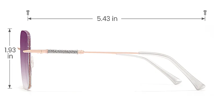 Sparkle rose gold   Metal  Sunglasses, size view