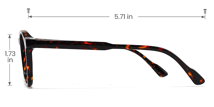 Carley warm tortoise   Acetate  Eyeglasses, size view