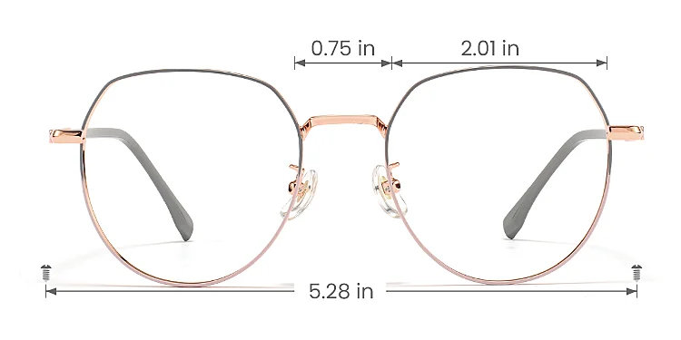 Barbara grey pink   Metal  Eyeglasses, size view