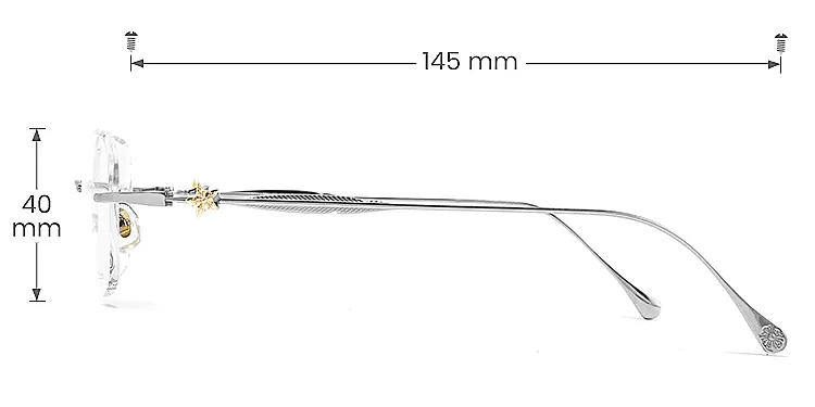 William silver   Titanium  Eyeglasses, size view