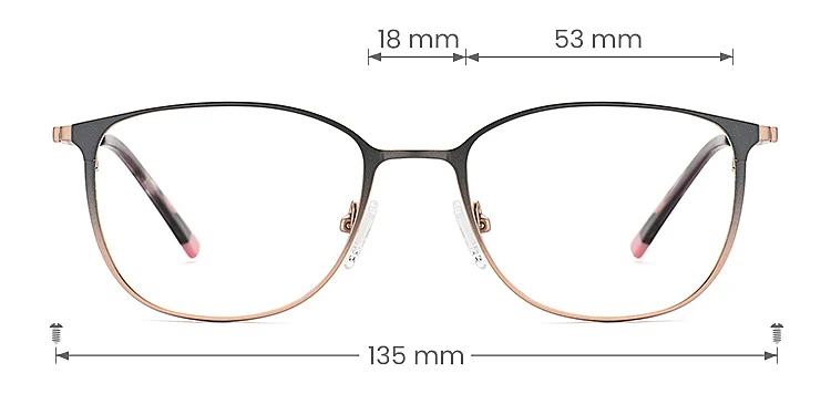 Wren grey pink   Titanium  Eyeglasses, size view