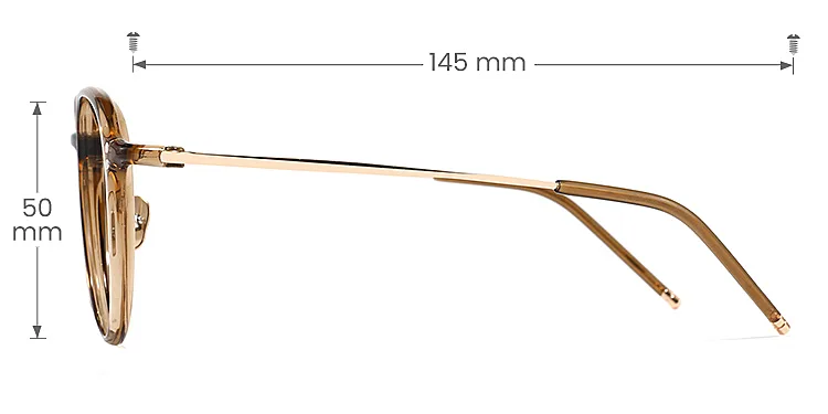 Hayes brown   Titanium  Eyeglasses, size view