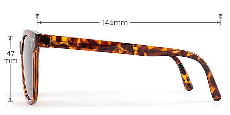 Noel warm tortoise   Plastic  Sunglasses, size view