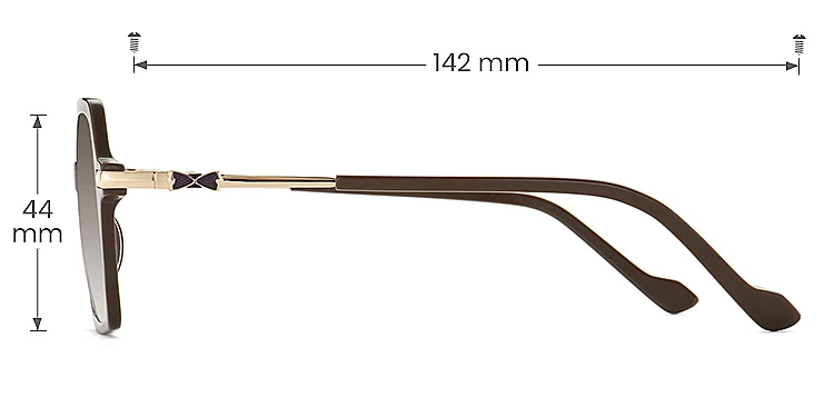Bexley chocolate   Plastic  Sunglasses, size view