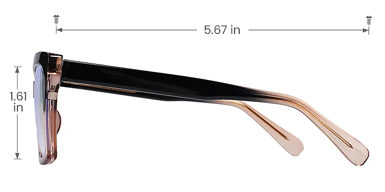 Torah black champagne   Plastic  Eyeglasses, size view