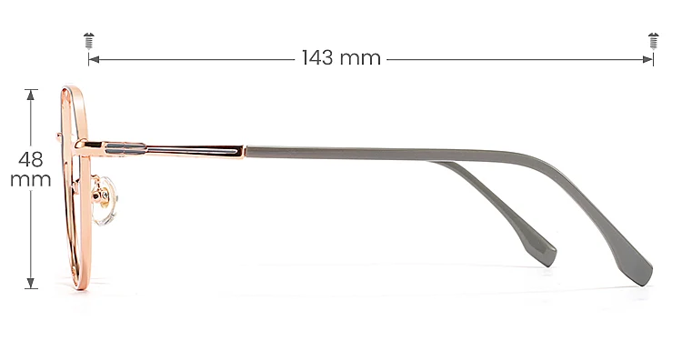 Barbara grey pink   Metal  Eyeglasses, size view