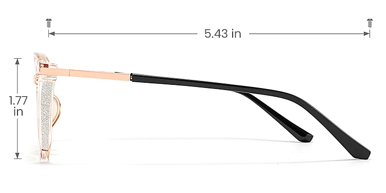 Darleen champagne   Plastic  Eyeglasses, size view