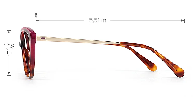 Keely warm tortoise   Acetate  Eyeglasses, size view
